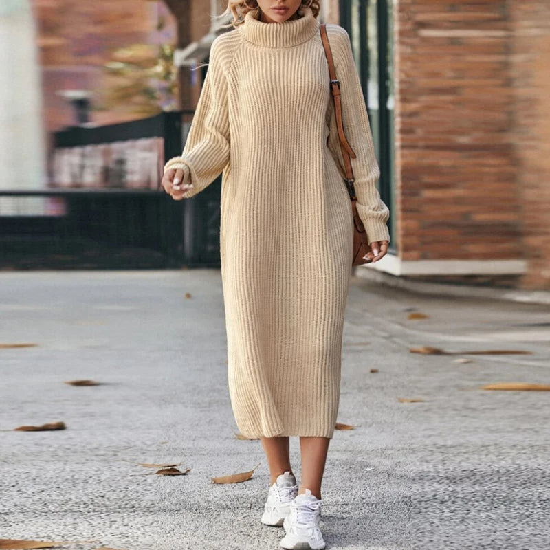 Elegant ladies dress with turtleneck